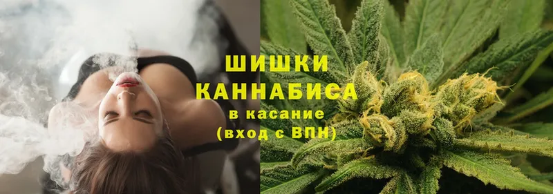 Шишки марихуана сатива  продажа наркотиков  Малая Вишера 